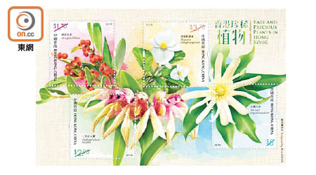 「香港珍稀植物」郵票展現細花冬青、二色石豆蘭、香港秋海棠和大嶼八角美態。