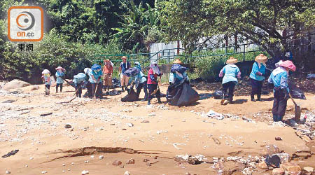 大嶼山<br>大批清潔工在大嶼山牙較灣沙灘檢拾硬脂油粒。（受訪者提供）