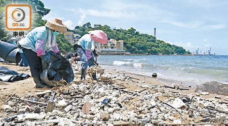 清潔工人忙於清理南丫島牙較灣的油污。（李志湧攝）