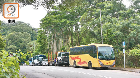 林錦公路<br>林錦公路內的嘉道理農場對出雖設有公共巴士泊位，惟車長逾十一米的車輛不得進入。