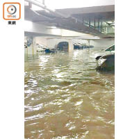 杏花邨<br>杏花邨停車場內多輛車被水淹浸。（讀者提供）
