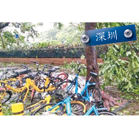 颱風過後深圳市面一片凌亂，共享單車被胡亂堆放。（互聯網圖片）