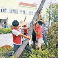 當地居民合力清走塌樹。