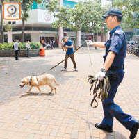 搜索犬到場追尋匪徒逃走路線。（陳賜慧攝）