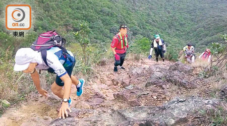 蜱蟲於郊外活躍，行山人士若被叮咬，需留意有否出現病徵。（資料圖片）