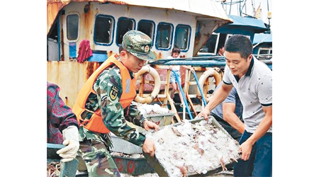 福建<br>漁民把魚獲陸續搬上岸。（互聯網圖片）