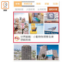 重點組圖<br>重點組圖會同時展示兩至三張新聞圖片（紅框示）。