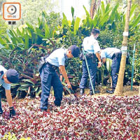 大批警員在九龍公園搜索。