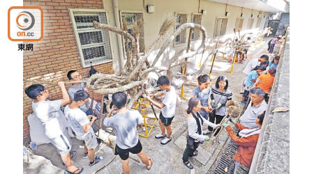 十多名村民及市民聚集薄扶林村，為火龍做最後準備。（陳德賢攝）