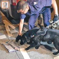 警犬到場協助搜查。（葉慧婷攝）