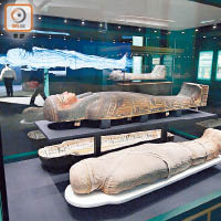 香港科學館展出六具木乃伊，平均每日吸引逾八千人次參觀，打破紀錄。