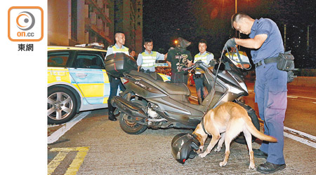 偷車男子落網，警方召來緝毒犬搜車。