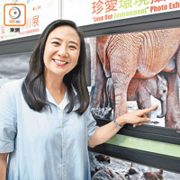 葛珮帆希望個攝影展可以令更多人關注大象被濫殺嘅情況。