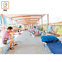 深水埗<br>南昌邨附近一條行人天橋，有至少七名露宿者露宿。