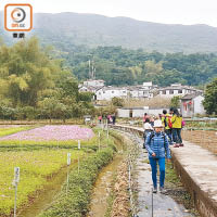 荔枝窩村的天然景觀吸引不少行山客及郊遊人士。