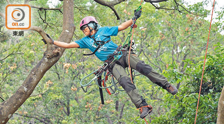 張凱祺是本港五名註冊女攀樹師之一，連續三年在攀樹錦標賽女子組奪冠。