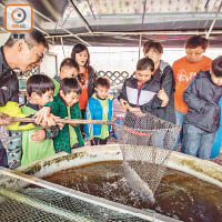 一眾小朋友近距離接觸水產養殖，學習與大自然共存。