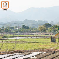 塱原由上年底至今，共有約七斗種農地陸續被地主提早收回，並用鐵絲網圍封。