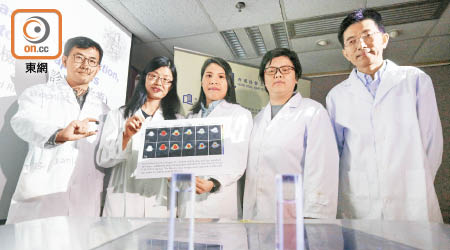 李紅榮（左二）及黃文成（右一）發表研發的花青素化合物。研究團隊包括浸大化學系博士徐迪（左一）、博士何施洛（左三）及博士生陳希雅（右二）。（何天成攝）