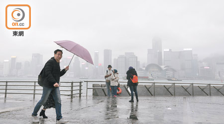 冷雨伴寒風，體感溫度更加低。（袁志豪攝）