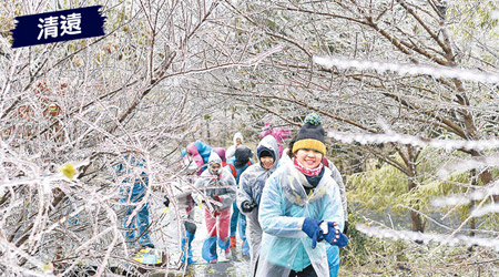 廣東迎來今年第一場雪，清遠金子山更有樹枝掛冰美景，民眾紛紛往觀賞。（中新社圖片）