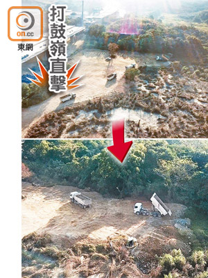 （上圖）每日有近二百架重型泥頭車進入打鼓嶺蓮麻坑路「堆填區」。<br>（下圖）泥頭車於指定位置傾倒泥頭。