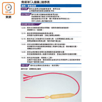 食道球「入錯膈」時序表<br>下圖為食道球。