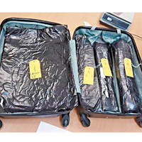 台警在李女的行李篋夾層中搜出逾八公斤的可卡因，市值估計近億元新台幣。（互聯網圖片）