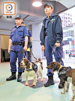 警方出動警犬搜索法院範圍有沒有可疑物品。