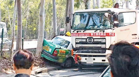 的士被夾在運油車與大樹之間。（互聯網圖片）