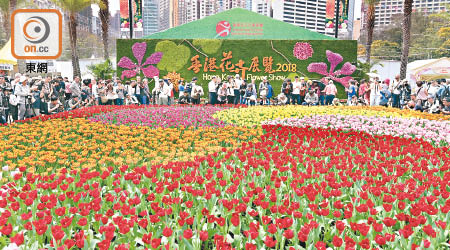維園花展下周一將免費向公眾派發約五千盆大麗花。