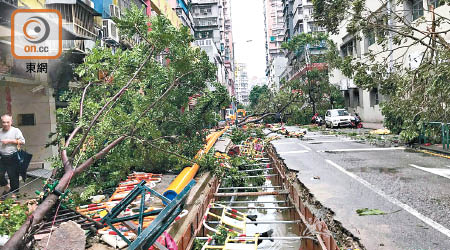 強颱風「天鴿」吹襲澳門期間，市面上大量樹木被摧毀。（資料圖片）