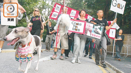 團體曾舉辦遊行及請願活動，要求當局加強保護動物。