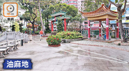 中年漢在公園遭南亞幫夥同本地幫襲擊。（吳嘉誠攝）