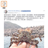 除了鮮海魚，亦有人在網上平台兜售介貝類水產。