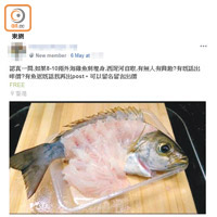 部分賣家稱可提供鮮魚刺身，由群組成員叫價競投。