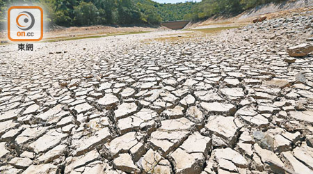 本港連日酷熱，部分地方出現乾涸。