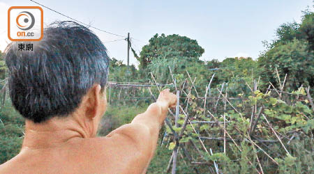 范先生指示元朗南亞村位置。（文健雄攝）