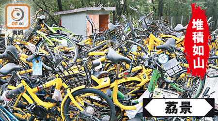 荔景單車收集處除了有gobee.bike外，亦有大量被棄置的私人單車和其他共享單車。