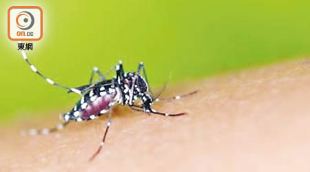 全港白紋伊蚊誘蚊產卵器指數上月上升至百分之十五點七。