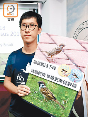 彭俊超認為今年異常乾旱的春天，或未能誘發麻雀的繁殖行為。