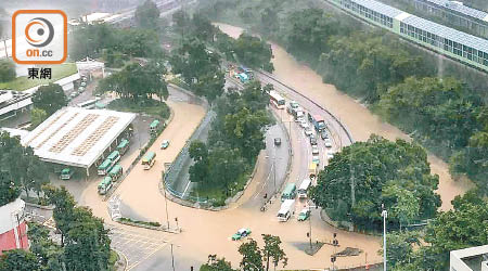 上月底一場暴雨，令到新界多處地方出現嚴重水浸。