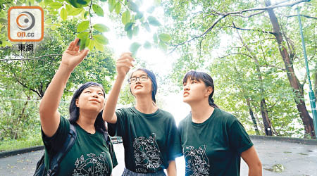 香港大學理學會生態學及生物多樣性學會不時舉辦戶外考察，匯聚一班對生態環境有興趣的人。