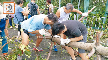 觀塘<br>山竹摧毀大量樹木，道路被阻，市民又是靠自己。