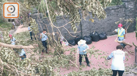 天水圍<br>天水圍街坊組成義工隊清理塌樹。（李月民提供）