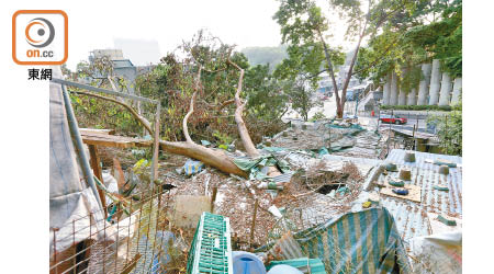 塌樹壓下摧毀兩間寮屋。