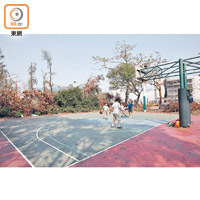 九龍城<br>宋王臺遊樂場近半個球場被塌樹遮蓋，危及使用場地的學童。