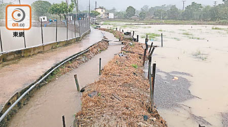 早前本港連場大雨，新界出現嚴重水浸。