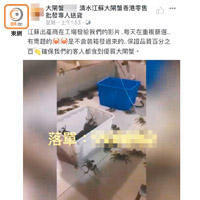 有網店貼出聲稱由江蘇出產商工場拍攝的影片，表示貨源優質。