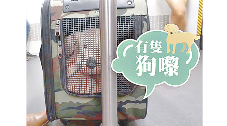 譚文豪用寵物車裝假狗搭港鐵。（互聯網圖片）